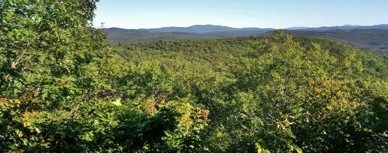 Across much of New England the foliage looks green and healthy still. Taken in Lyme, NH this week. 