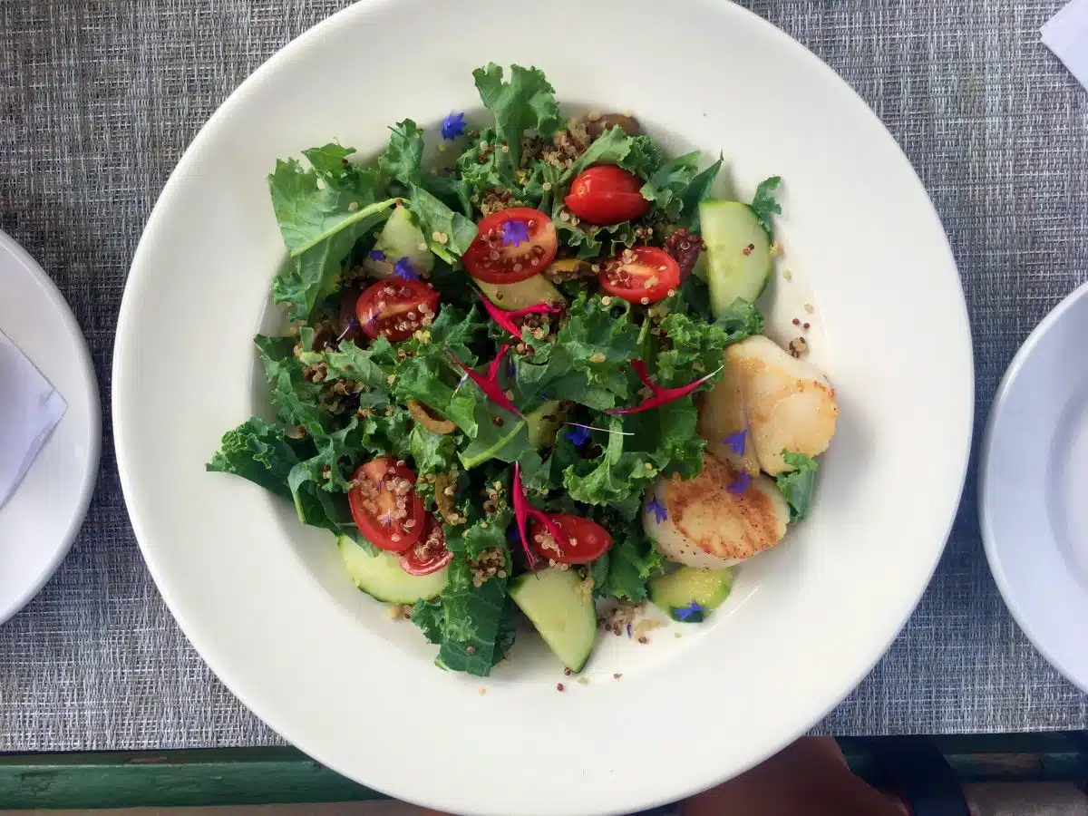 Guide to Squam Lake | New Hampshire Getaway