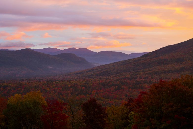 Fall Tapestry