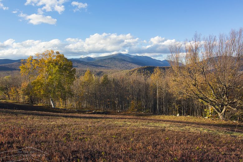 Colors Fading In White Mountains