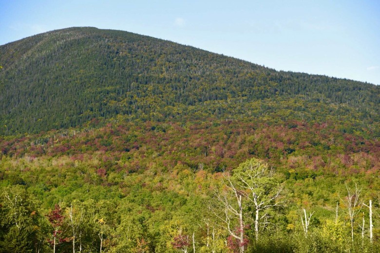 Intense red foliage is beginning to emerge near Sugarloaf Ski Resort in Maine