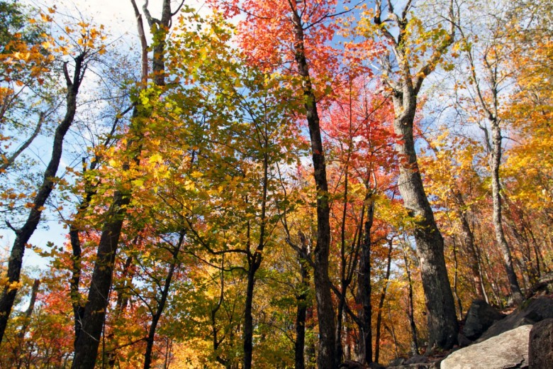 Mount Monadnock | New Hampshire Hiking