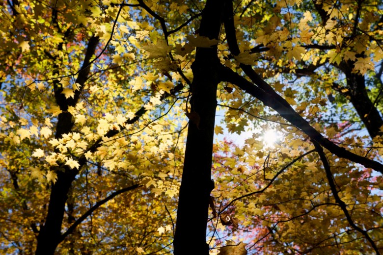 Mount Monadnock | New Hampshire Hiking