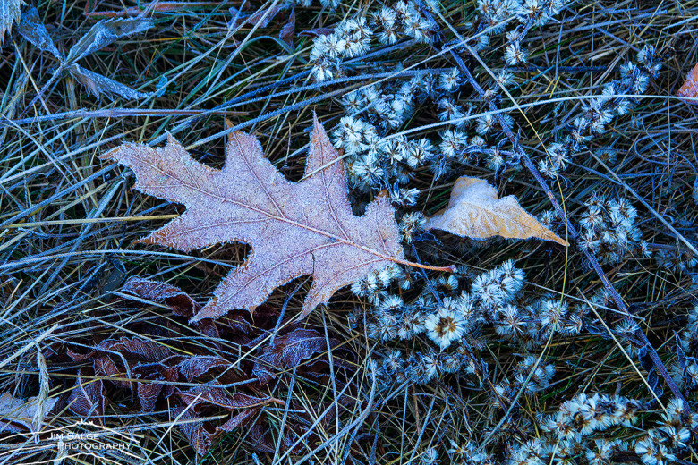 Frost covers the ground on a recent late fall morning in Northern New England
