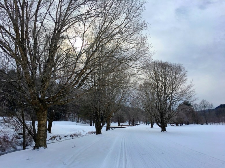 Beginner cross country skiers can enjoy flat loops at many New England ski centers. 