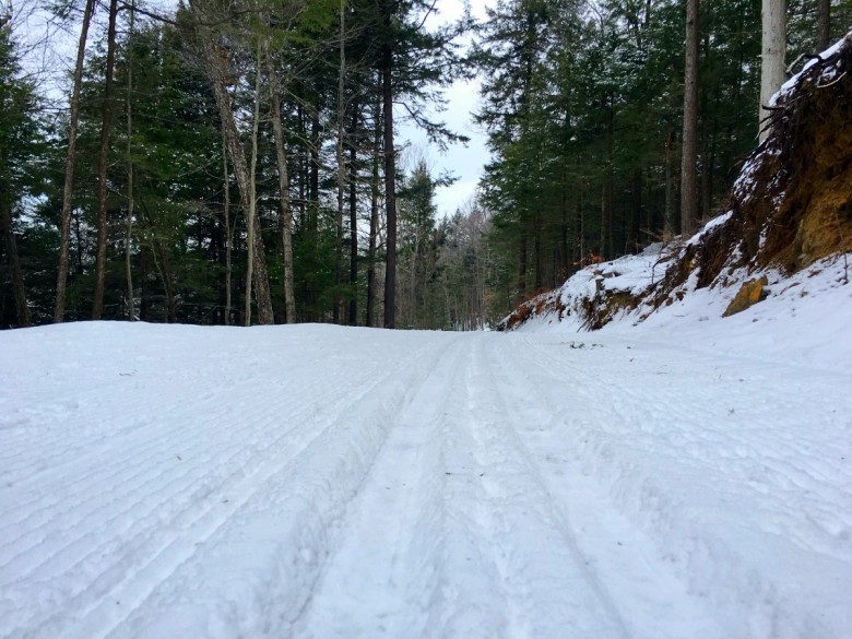 Tracks are great for classic cross-country skiing. 