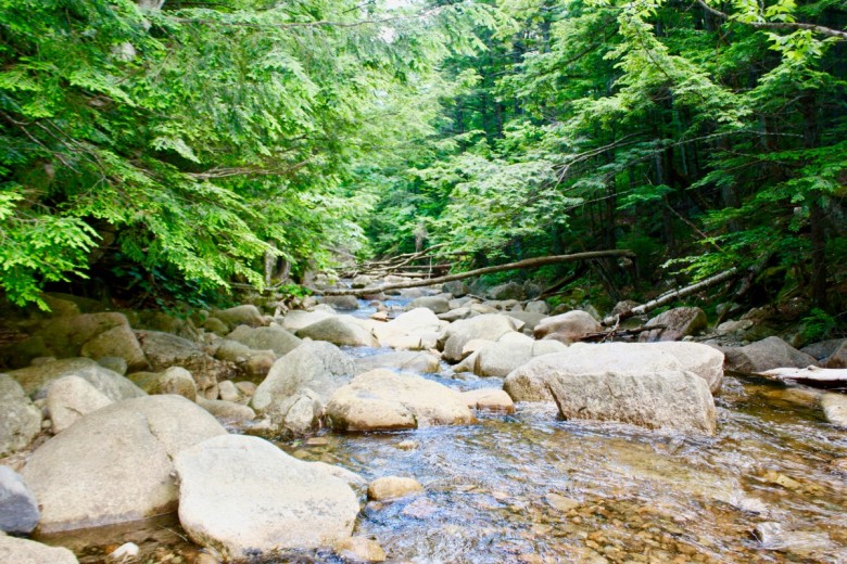 Downstream is not the best spot for swimming. 