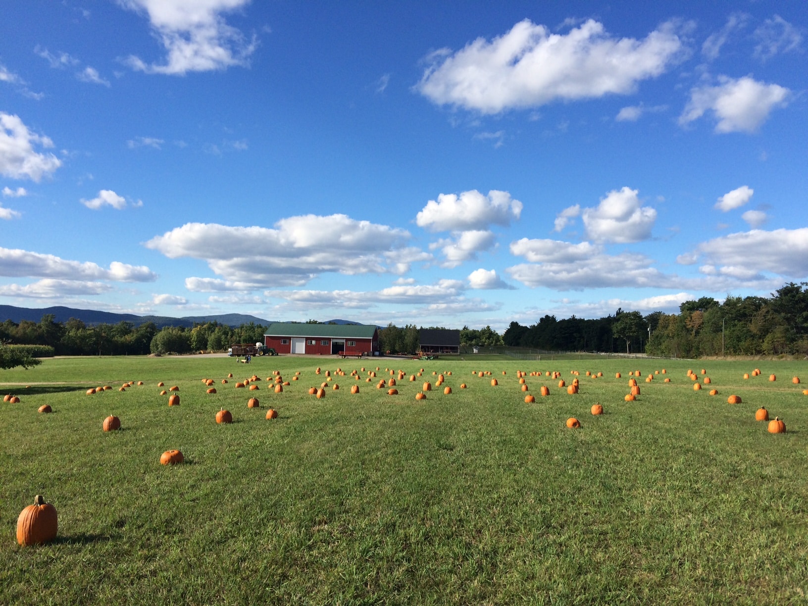 Washburn's Windy Hill Orchard New England Today