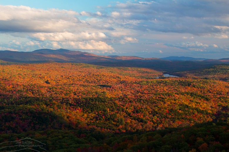 Holt's Ledge