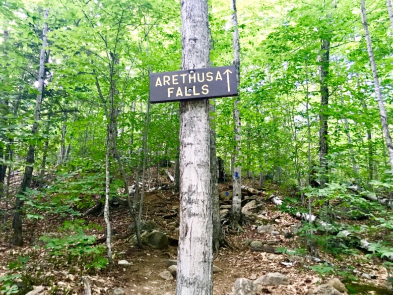 Exploring Arethusa Falls | Hart's Location, NH