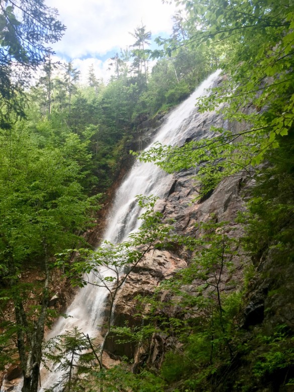 Exploring Arethusa Falls | Hart's Location, NH