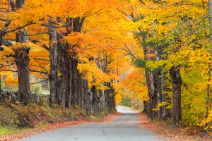 Backroads are Best