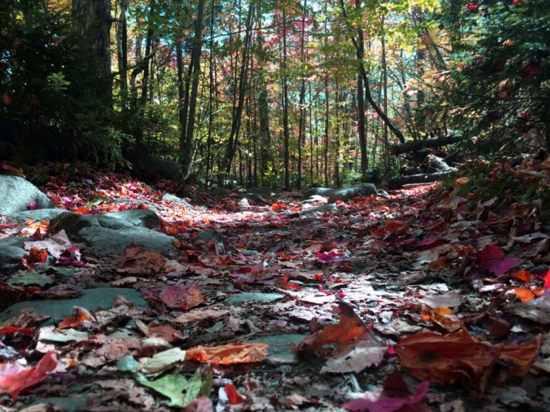 Favorite Late Fall Hikes in New England