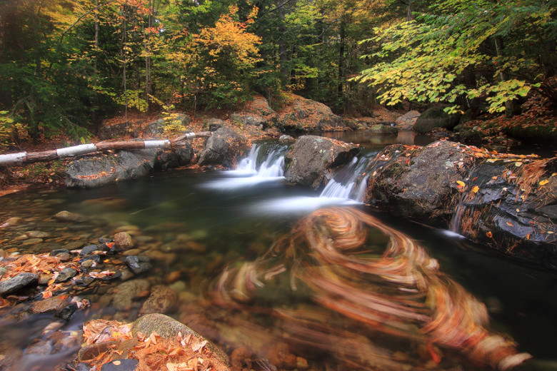 Maine and New Hampshire Fall Foliage Photo Tours and Workshops — Slonina  Nature Photography