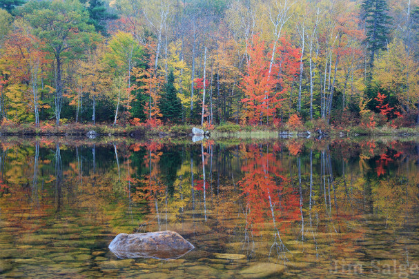 How to Take Your Best New England Fall Foliage Photos - New England Today