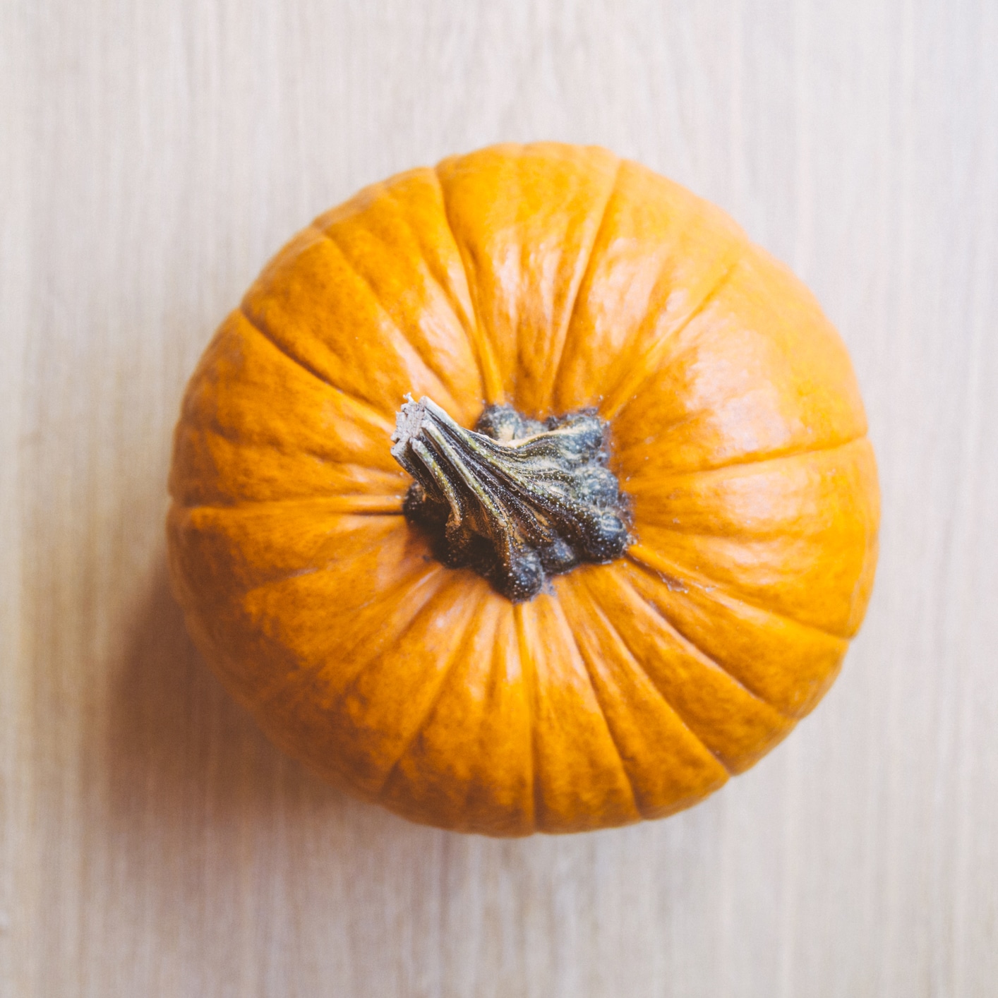 Pumpkin detail