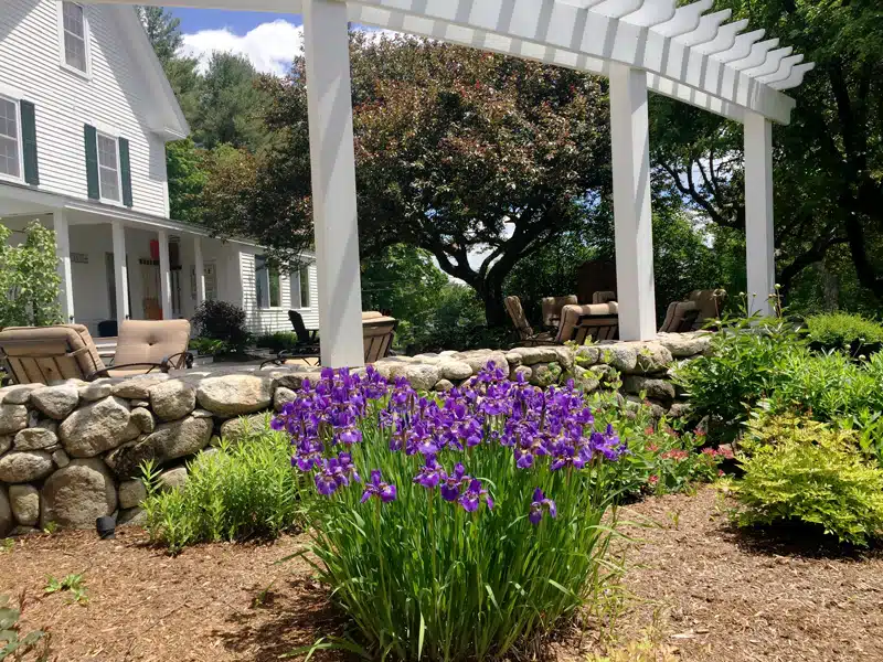 Purple flowers bloom in a garden beside a stone wall, with a white pergola and a best New England Inns for Spring in the background.