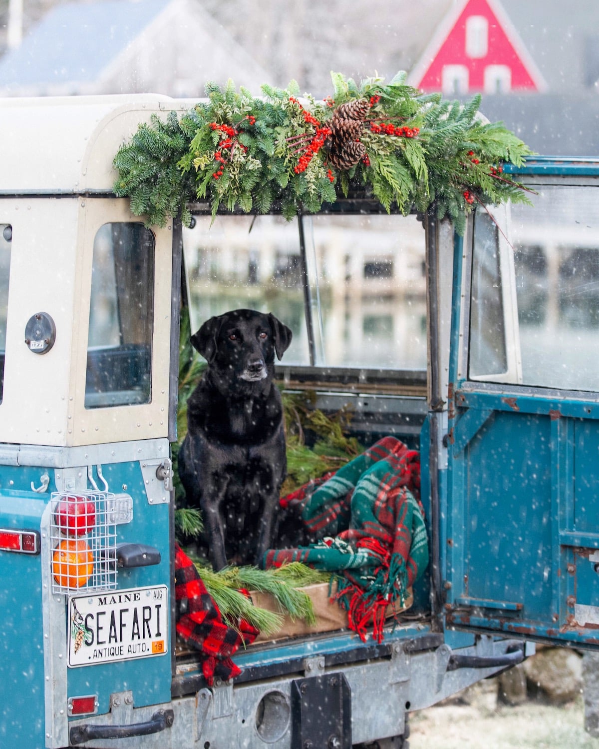 A Picture-Perfect Life in Maine | Q&A with New England Influencers Jackie Greaney and Paul Havel