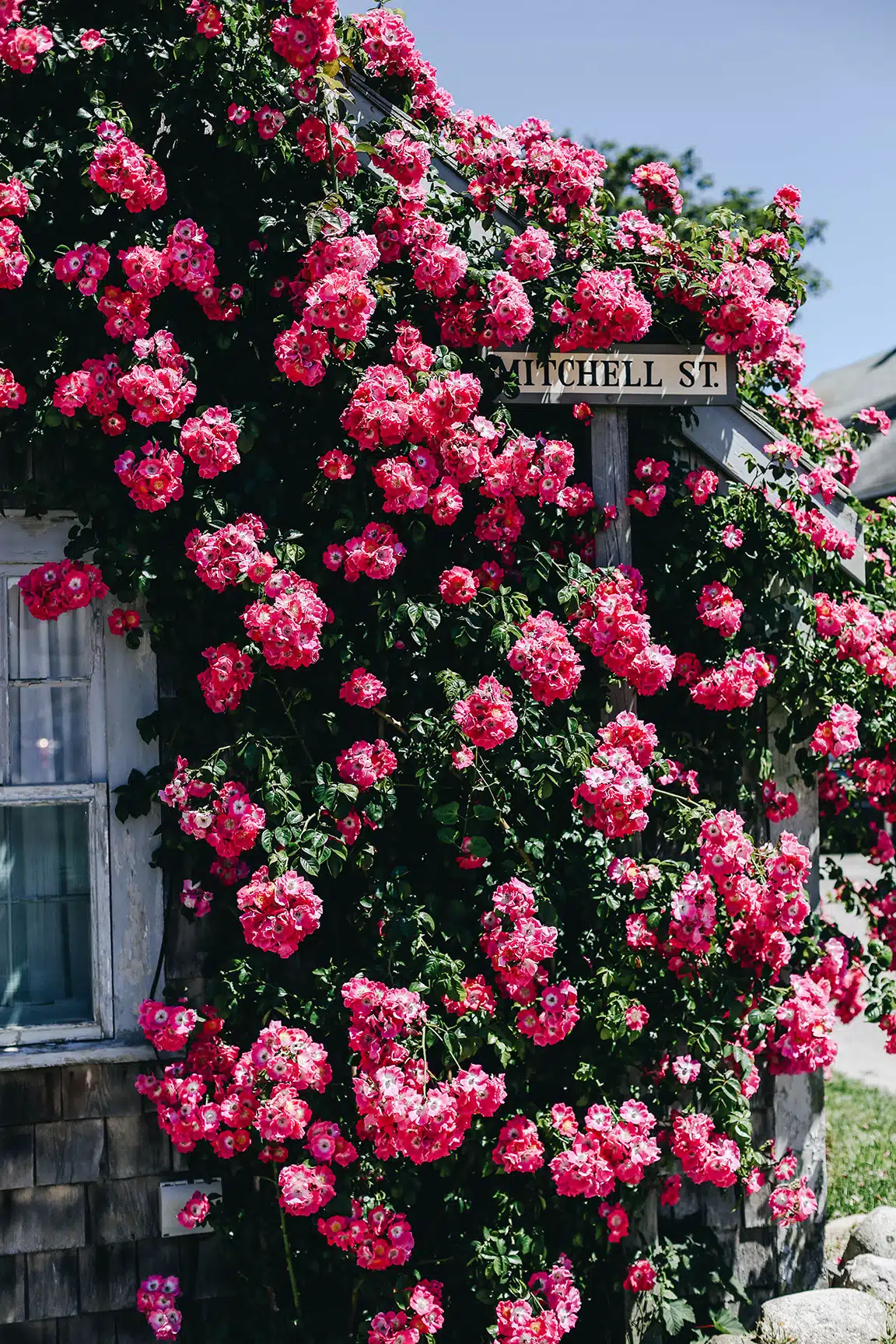 Scenes From Nantucket | Featured Photographer Georgie Morley