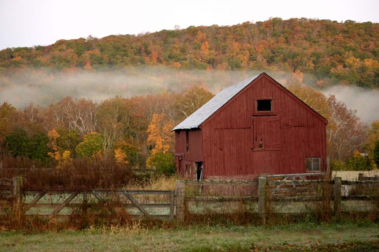 Red Barn during Fall in Kent