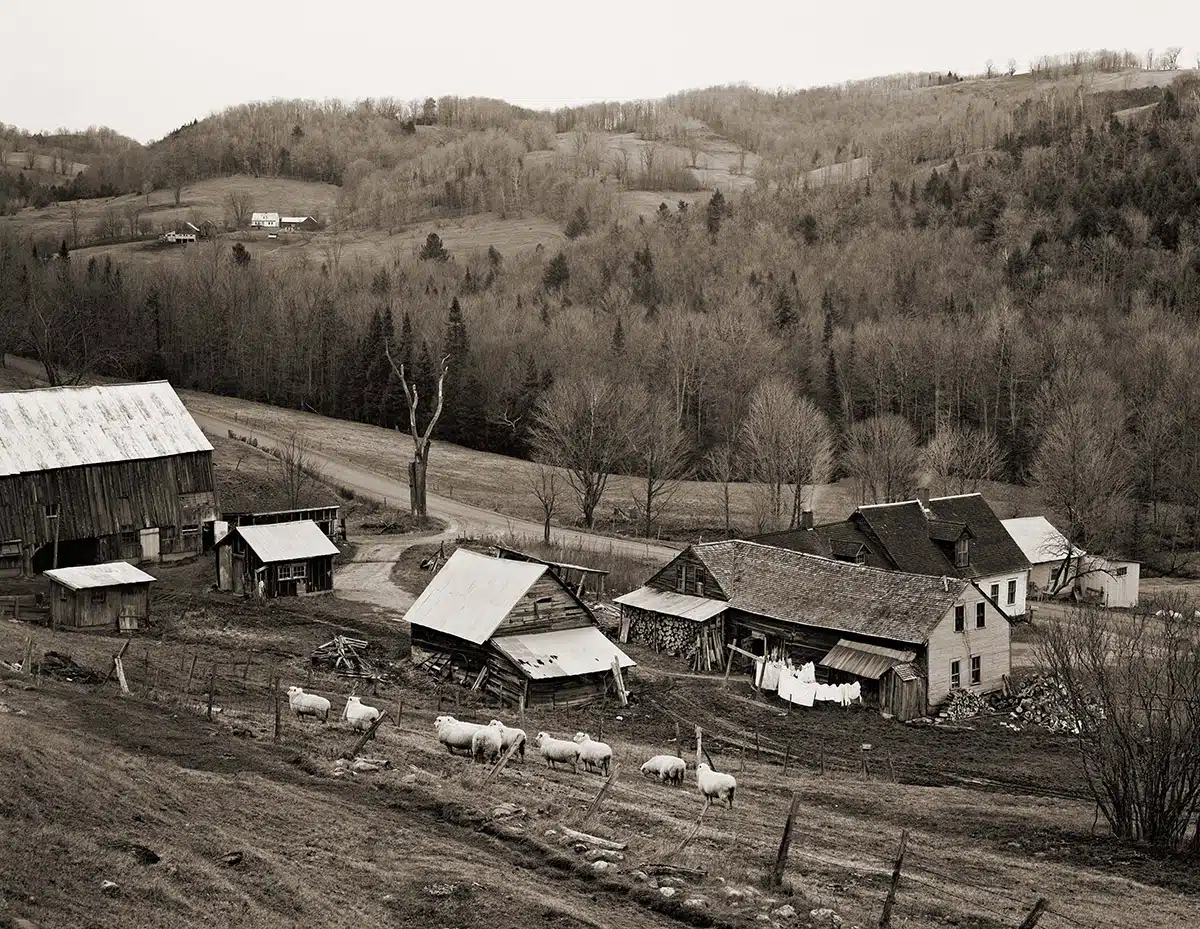 Sheep Farm, Bethel, 1975.