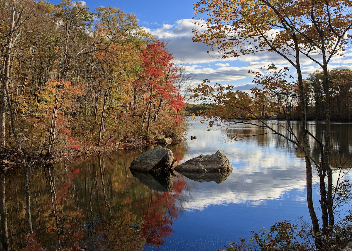 Best Easy Foliage Hike in Every New England State
