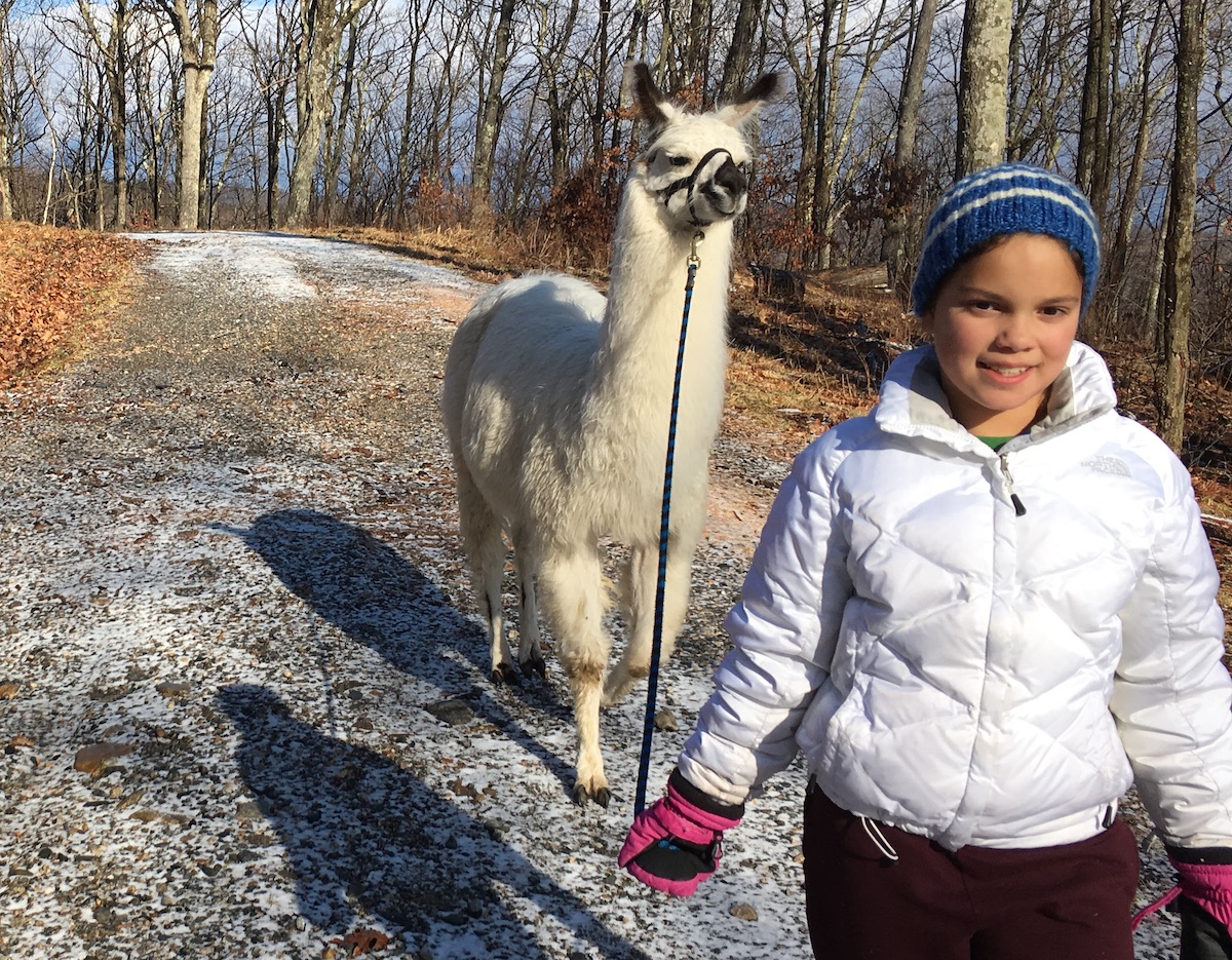 10 Unforgettable New England Animal Experiences