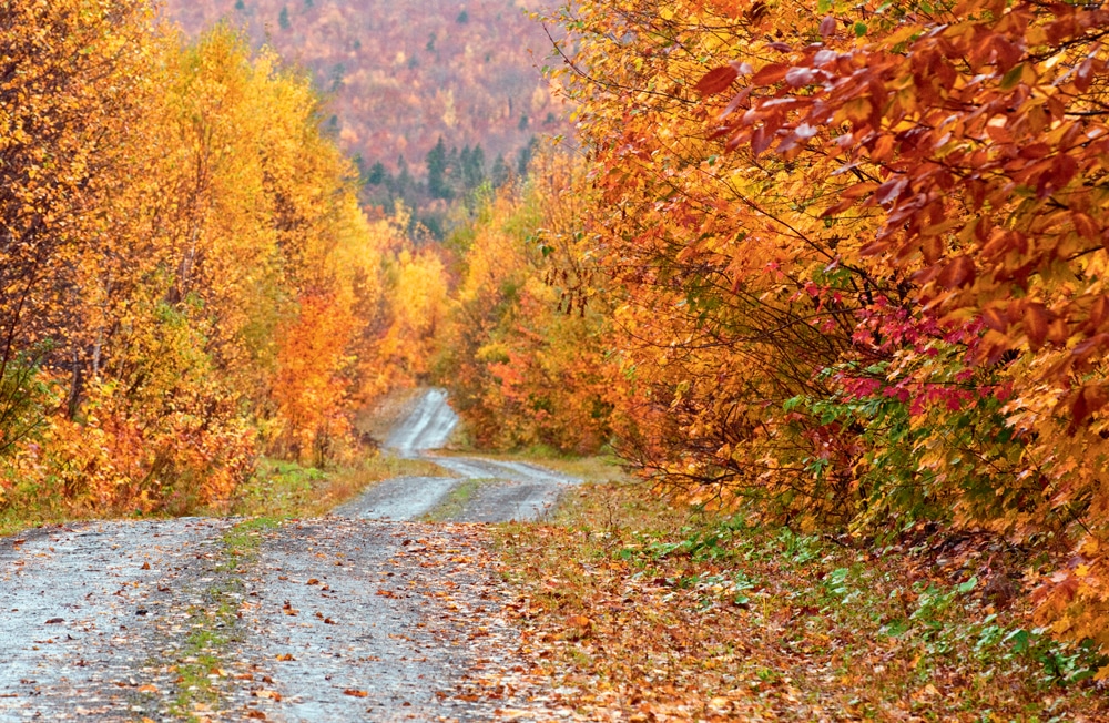 25 Memorable Things to Do in New England in Fall New England