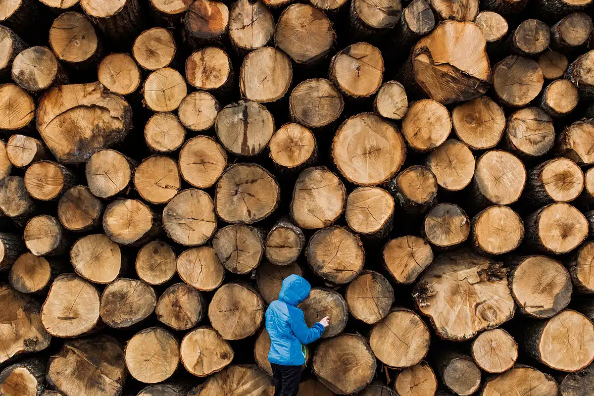 Lumberjack.
