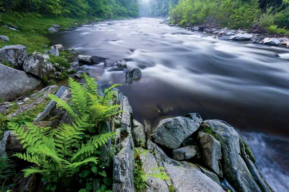 Westfield River in Chesterfield, Massachusetts Westfield River in Chesterfield, Massachusetts