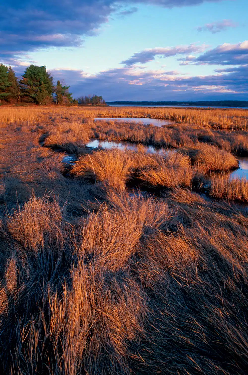 New Hampshire’s Great Bay New Hampshire’s Great Bay