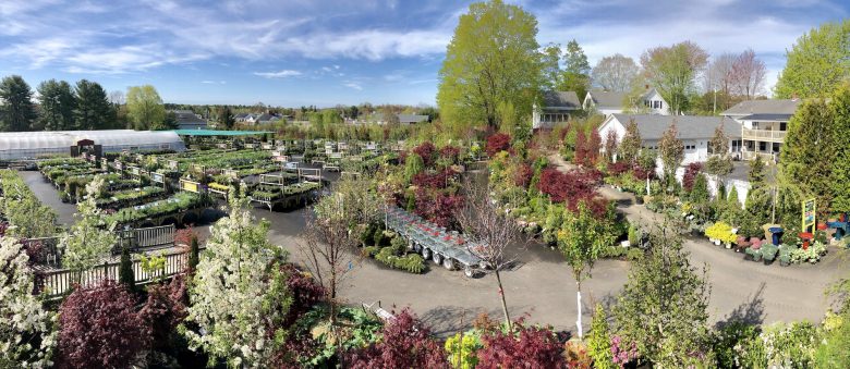 New England Nurseries Garden Centers, New Roots Landscaping And Plant Nursery