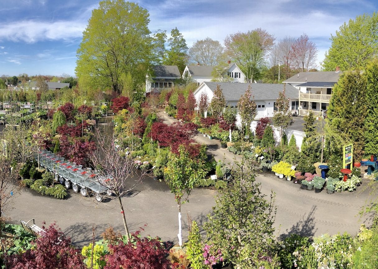 Best New England Nurseries & Garden Centers