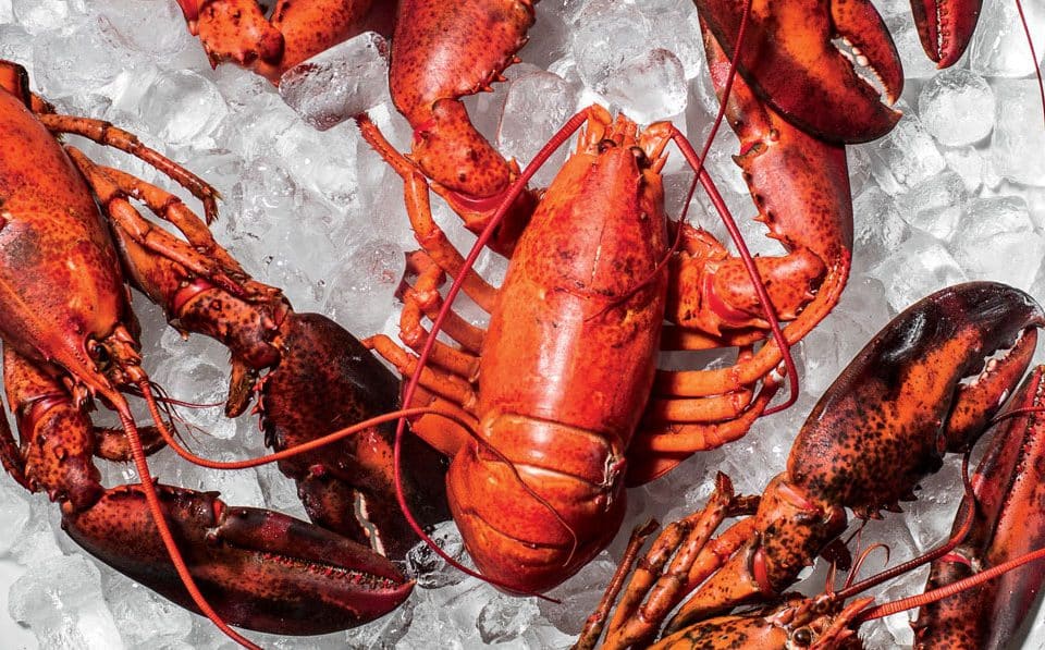 5 Mistakes To Avoid When Cooking Lobster: Cooking Tips