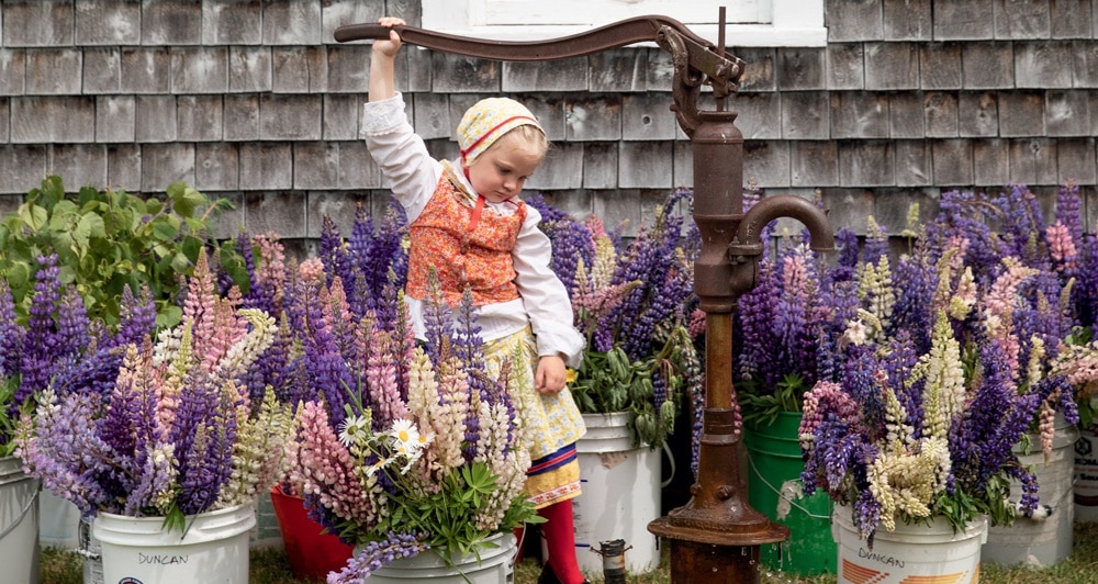 Välkommen to Midsommar | Celebrating Swedish Culture in Maine's North Country