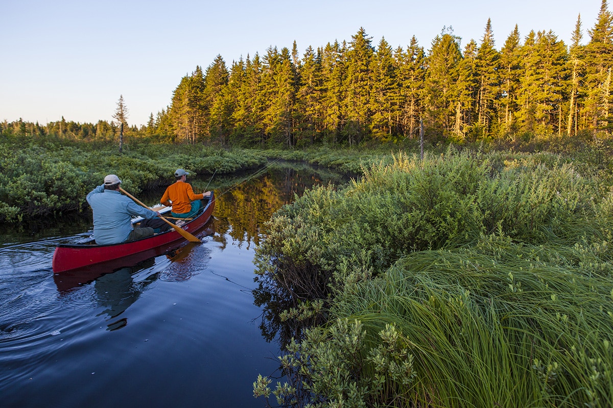 Two men fly-fishing for brook trout from a canoe on the Cold Stream "deadwater" above Upper Cold Stream Falls in Maine's Northern Forest. Johnson Mountain Township.