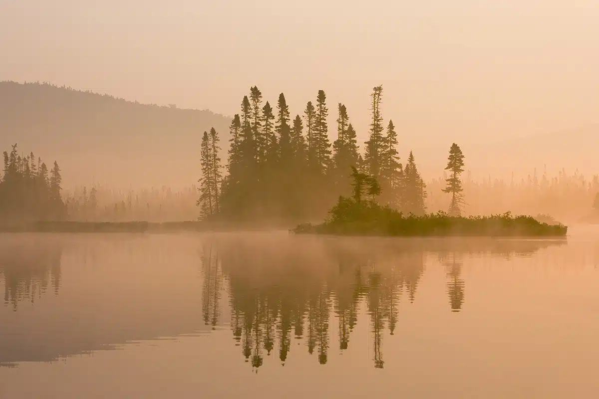 Misty dawn on East Inlet, Pittsburg, New Hampshire. Connecticut River Headwaters region.