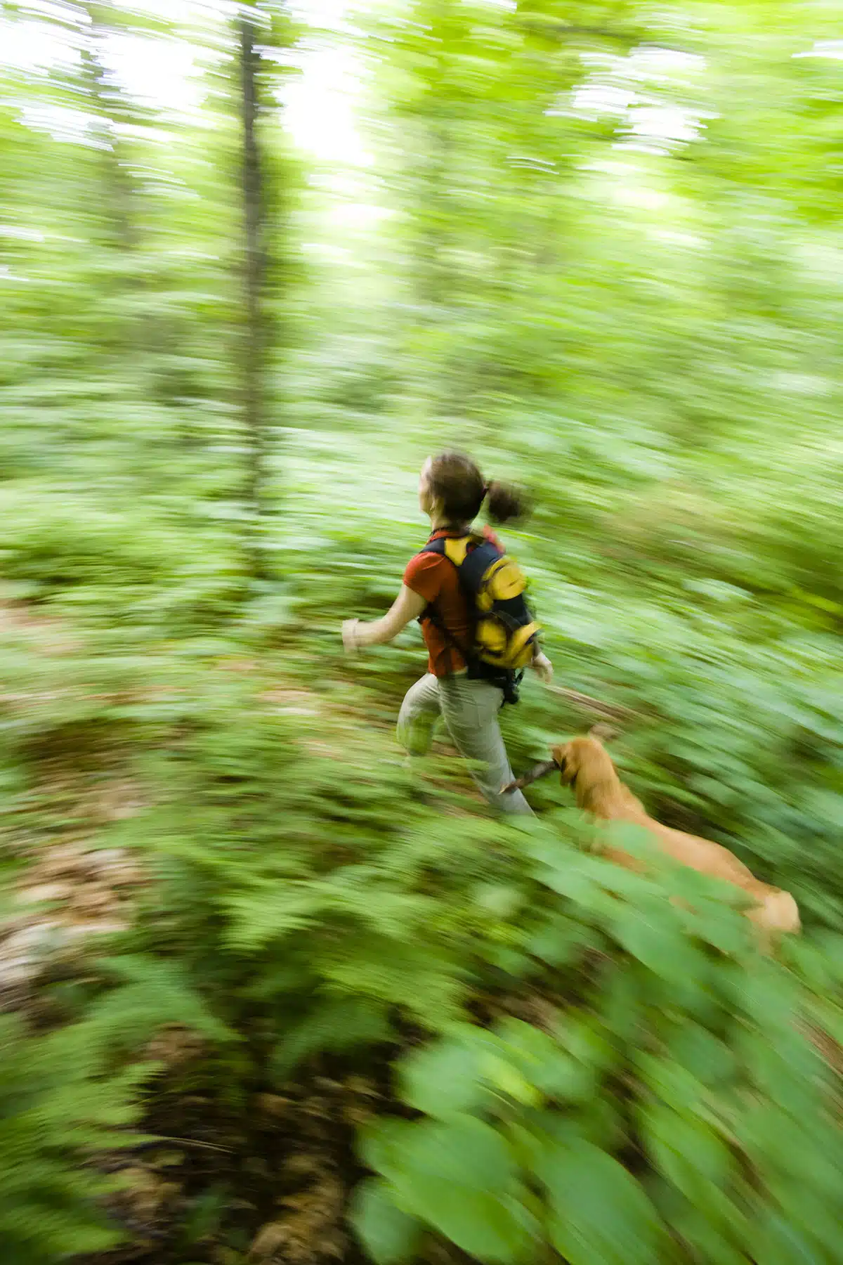 Hiking on the Long Trail in Vermont's Green Mountains. Eden, Vermont.