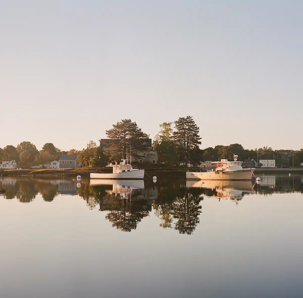 Morning Calm at Peirce Island
