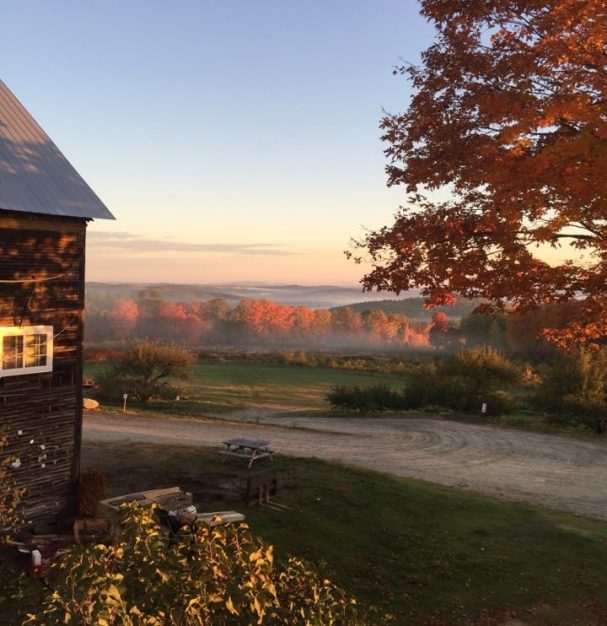 9 Most Beautiful Apple Orchards in New England New England Today