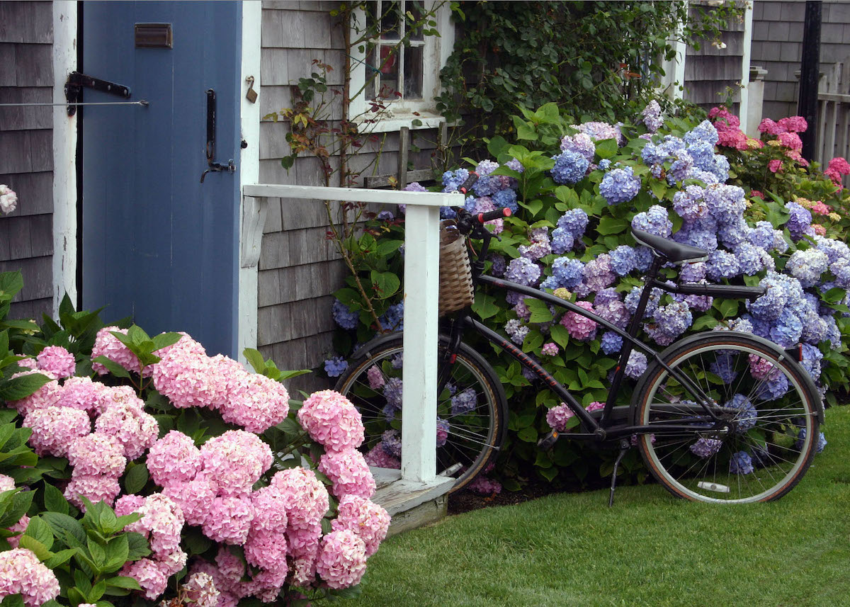 Nantucket_Bike_MOTT_Michael Galvin