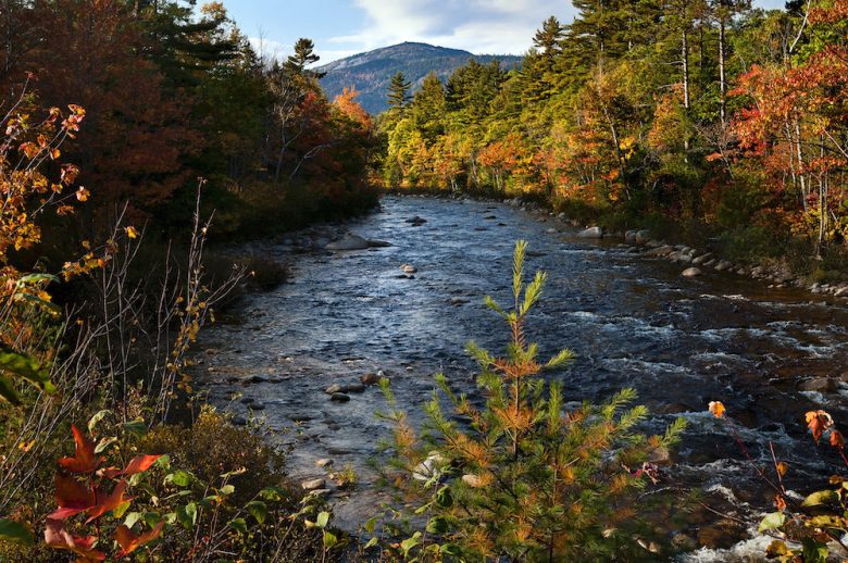 Best Foliage Town in Every New England State