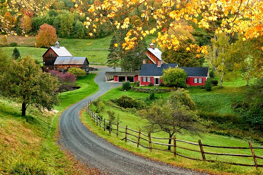 L Histoire De Sleepy Hollow Farm Pomfret VT Comment Une Ferme Du   Oct052018 0111 