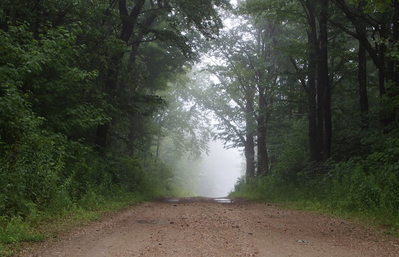 Does Bigfoot Live in the Berkshires?