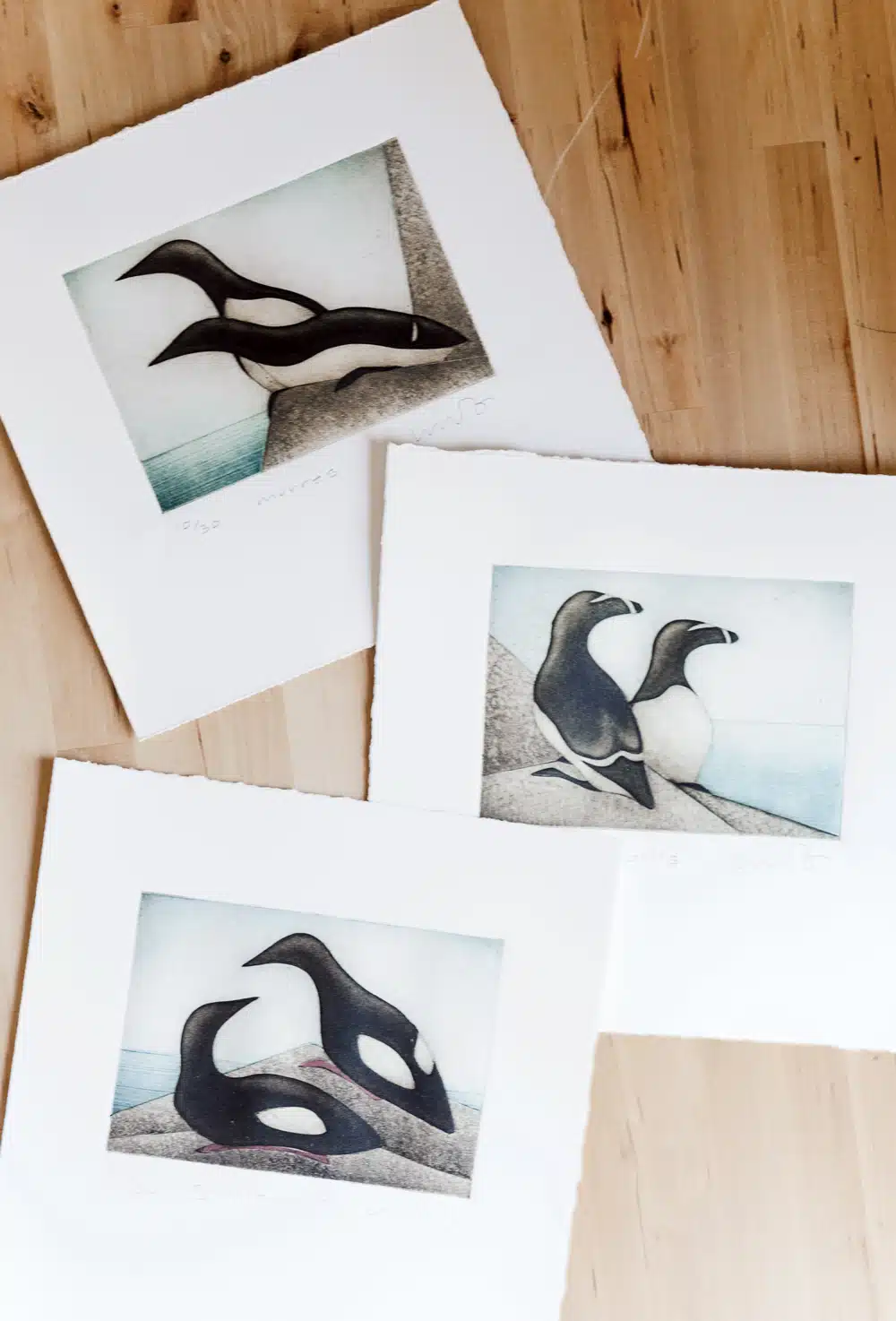The black-and-white patterns of murres, razorbills, and guillemots lend themselves to these striking collagraphs—which, like much of Buchanan’s artwork, were done in limited editions of 20 to 30 prints.