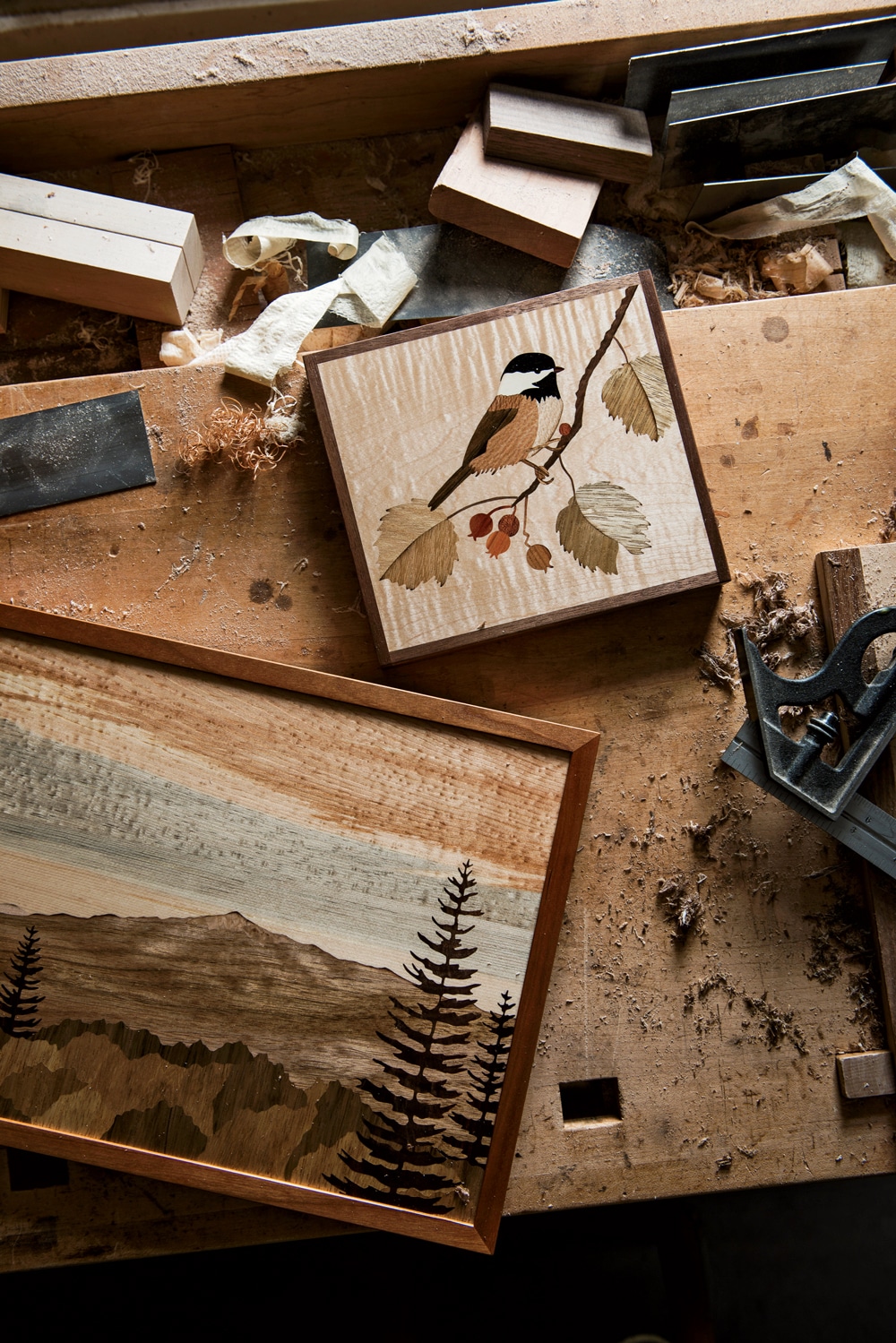 Pictures Hidden in Wood | Marquetry with Craig Altobello