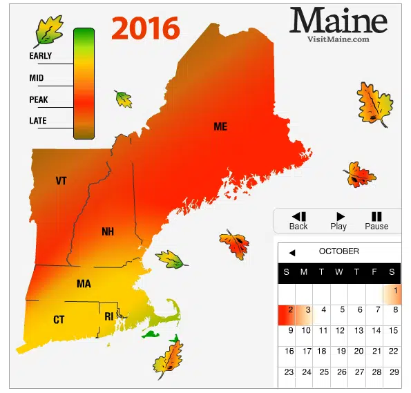Our fall foliage prediction map highlights when to visit different regions of New England