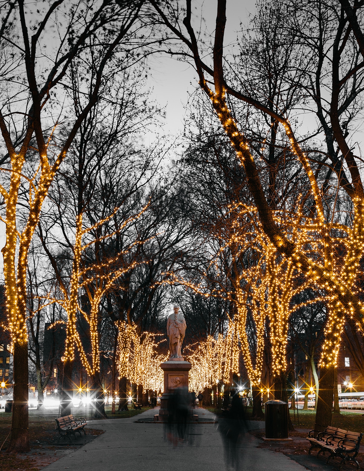 A statue of Alexander Hamilton on Commonwealth Avenue takes center stage illuminated by the holiday lights in the trees.