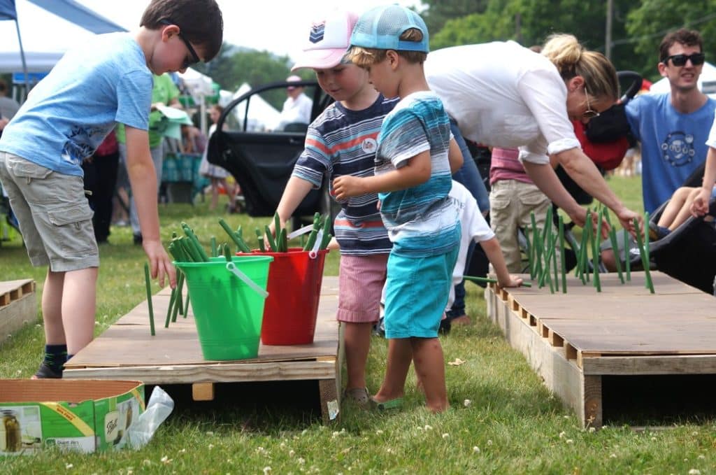 WGBY Asparagus Festival Hadley, Massachusetts New England