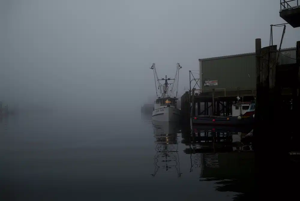 The New England Opioid Epidemic | Port in a Storm